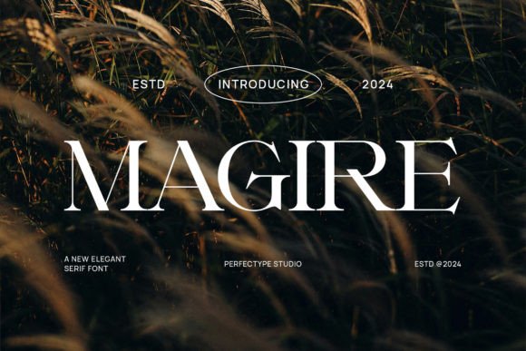 Magire: The Elegant Serif for Modern Branding